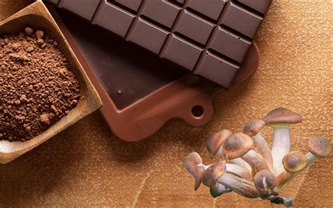 The Art of Pairing Magic Mushroom Chocolate with Other Delicacies Near Me